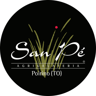 Logo Sanpè