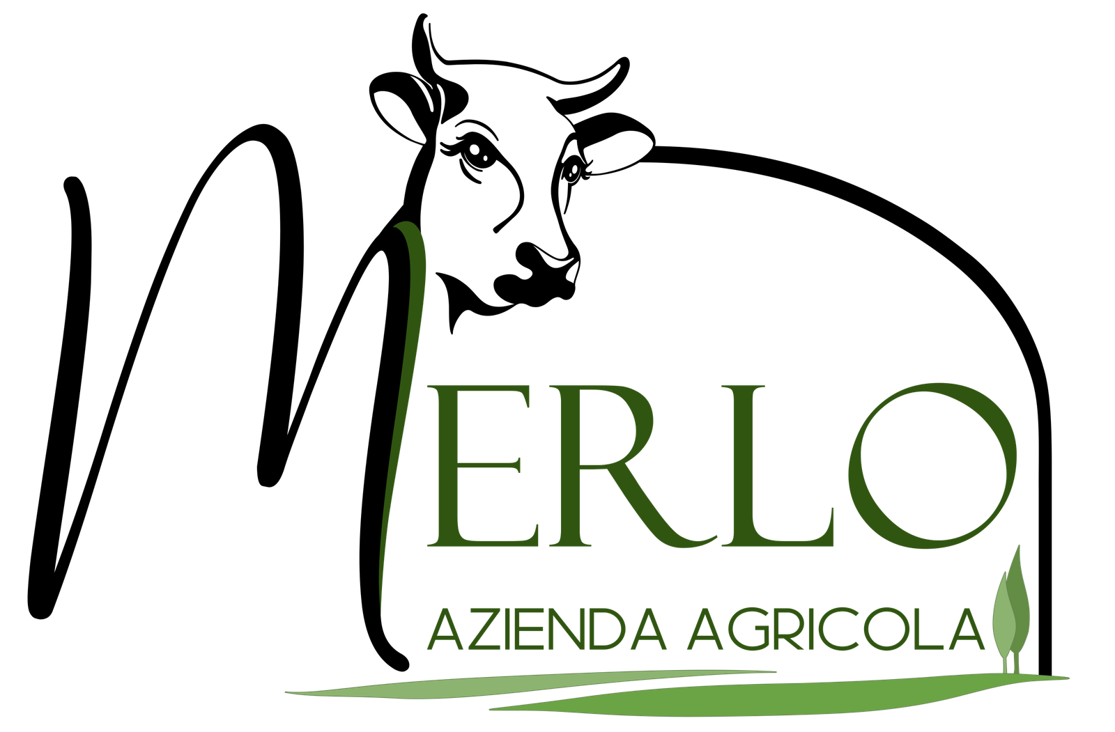 Azienda agricola Merlo