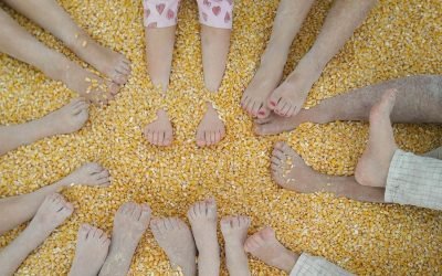 «Sinfonia di chicchi» — Fattoria didattica Granello di Senape